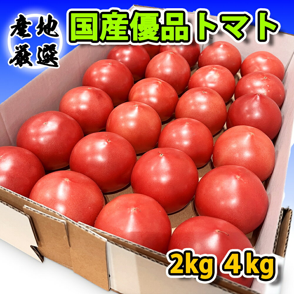 【産地厳選】トマト 秀品 L&Mサイズ 6−10玉入れ 2キロ 4キロ トマトジュース 野菜 家庭料理 業務用