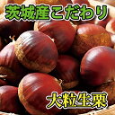 【楽天1位*茨城産】栗 生栗 国産 茨城産 秀品 1kg 訳あり品 L 2L 3L 和栗 国産 旬の果物 なまぐり 食品ロス 栗ご飯 栗きんとん モンブラン 栗羊羹 お菓子作り スイーツ