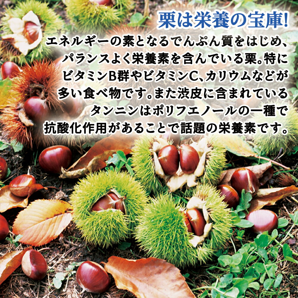 �ڳ�ŷ1��*��뻺�۷� ���� �� ��뻺 ���� ��1kg�� 850g��900g�� �������� L 2L 3L �·� �� �ܤβ�ʪ �ʤޤ��� ���ʥ��� ������ ������Ȥ� ���֥�� ����� ���ۻҺ�� ��������