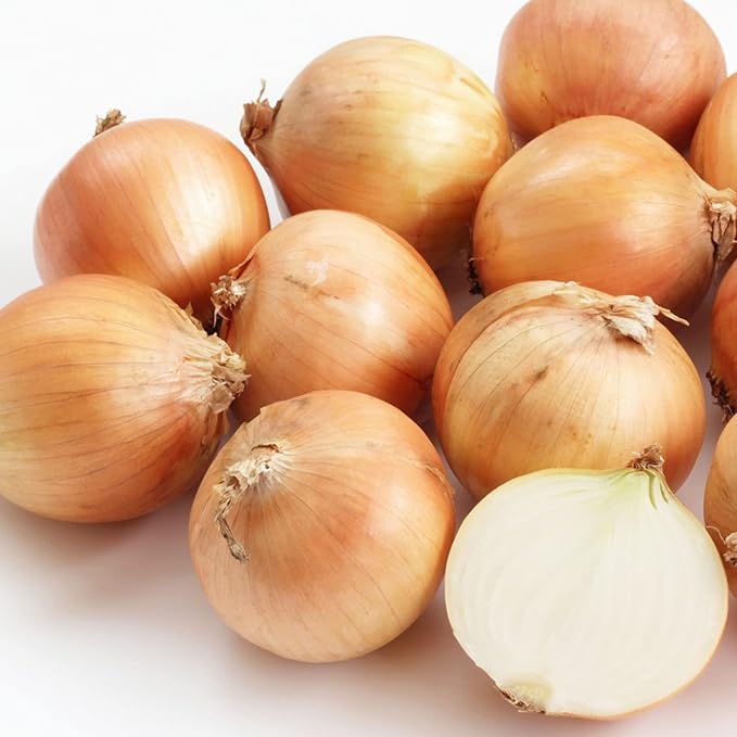 �ڻ��ϸ����۶̤ͤ� M��2L������ 2.5kg��5kg��10kg�ͤ� �Ť� ���㥭���㥭 ��Ǭ�����ޥͥ� ���ޤͤ� ���졼 �����塼 �С��٥��塼 �̳�ƻ�� ���컺 ��뻺 ����� ���θ����ʤɹ��⻺ ������� ����� ���� ��̳�� ������