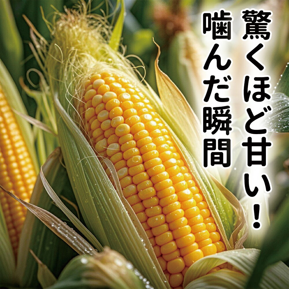 とうもろこし スイートコーン ゴールドラッシュ A品 贈答 今年の新物 2L或はL 5本...