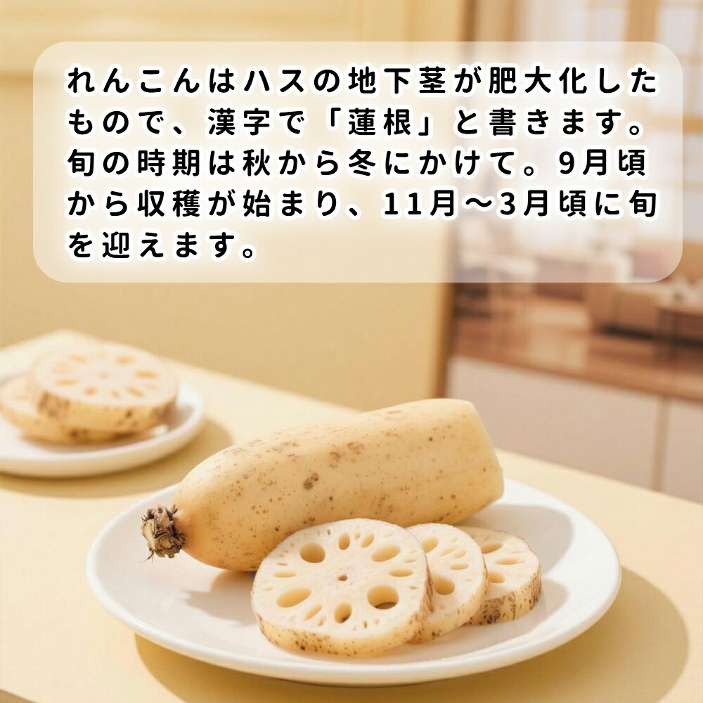 �ڻ��Ϥ��ľ���ۤ�󤳤� �������󤳤� ��4kg ��󥳥� ϡ�� MA�����������ʡ�£���� ���եȡ����ϸ������� ��븩�� �ڱ�