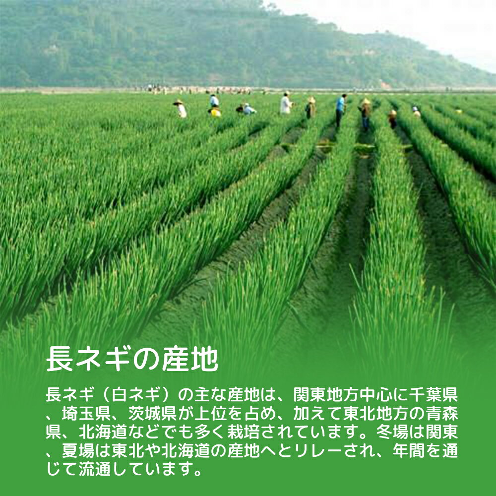 ����͵���ڡ�Ĺ�ͤ� 5����/Ȣ 30�������� ���/���/����/���ո��� L������ ��ͥ� ���������� Ĺ�ͥ� �����϶軺�� �� ����Ź��̳��ĹǬ �������Ѥˤ� �������