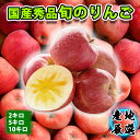 【旬の果物秀品】りんご 秀品 ふじ サンふじ シナノスイート 早生ふじ 2キロ 5キロ 10キロ 産地厳選 濃厚な甘み サクサク食感 アップルパイ 特選りんご ...