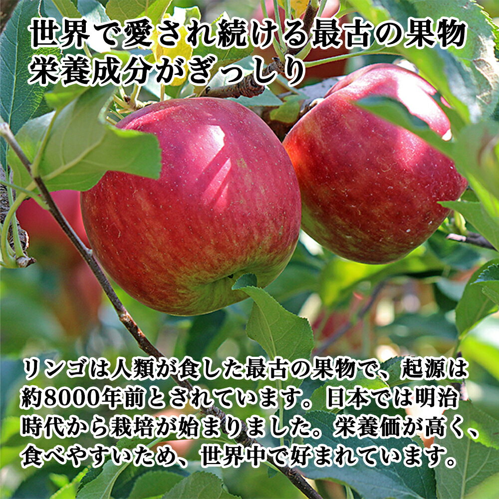 ＼父の日ギフト・10%OFFクーポン配布中/【...の紹介画像2