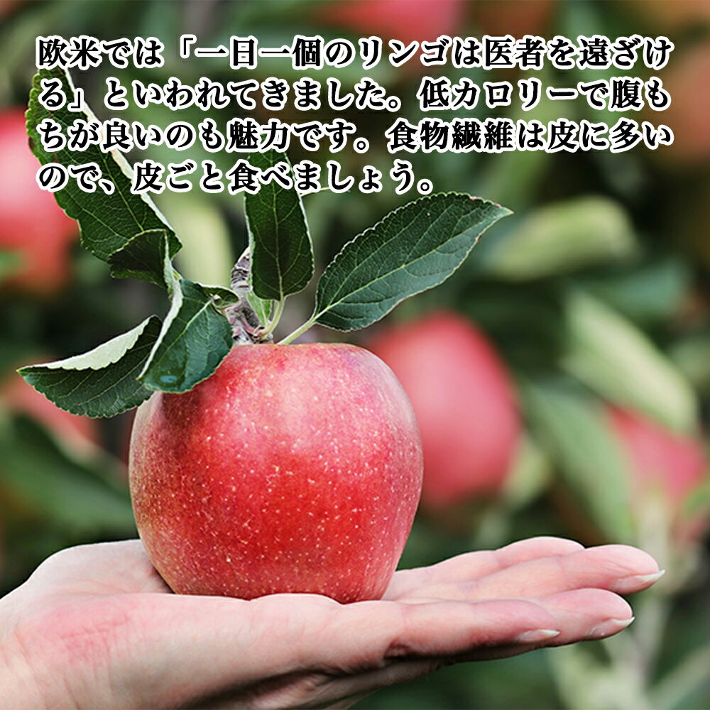 ＼父の日ギフト・10%OFFクーポン配布中/【...の紹介画像3