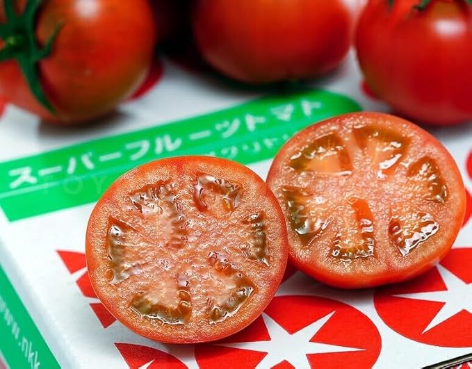 サンプル画像3