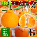 【産地厳選】不知火 デコポン 秀品 完熟 糖度 JA共選 みかん ミカン 蜜柑 デコみかん でこみかん ご褒美 贈答品 ご家庭用 旬の果物 旬の味覚 美味しい ...
