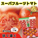 産地直送 スーパーフルーツトマト フルーツトマト 金賞 A品 高級品 糖度9度以上 約900g (10~12個) 茨城県産 NKKアグリドリーム 濃厚で芳醇な甘さ トマト とまと 野菜 グルメ ギフト 贈答品 お礼対応 お祝対応