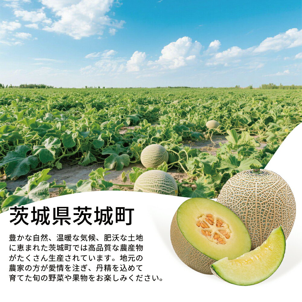 ����� ������� �� ��뻺 ���ջ� ������ �ܤΥ���� ���� ����ǥ������ ��� ���ȥ����� ���Х饭�� ������ JA���� �ý��� 2L������ ��1kg���� �ޥ�������� ��� ����� �Ť� ���� ��ʪ �������