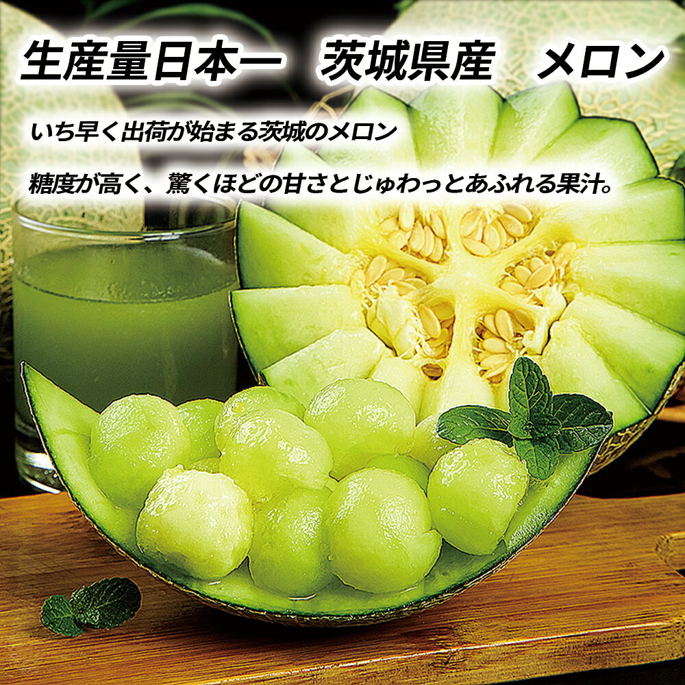 メロン 高級メロン 国産 茨城産 千葉産 山形産 旬のメロン 青肉 アンデスメロン 大...