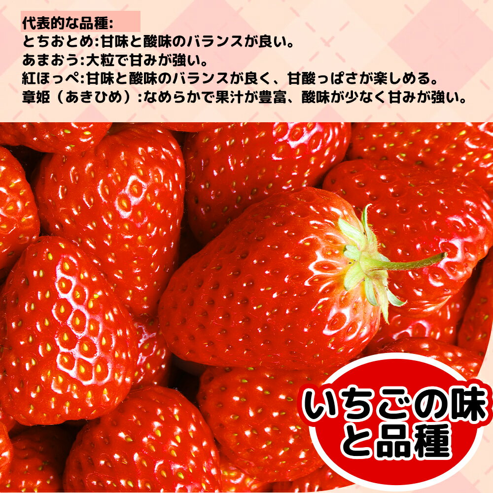 �ڻ���ľ��������ã�ۤ����� ���� ���� �Ȥ����Ȥ� �������٥꡼ ��褤�Ҥ� �ʼ�Ǥ�� ���ե� ���� ��� ��γL 2�Хå�500g ����Ȣ���졡4�Хå�1000g����ʪ���ե� ��� �渫�� ������ £�� �� �涡 ������ �ե롼�� ������� ����� �����롡£��ʪ ���ȥ��٥꡼