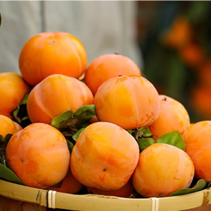 �ںǰ���ĩ��۳� ��ͭ�� ���� 1kg 2.5kg 3.5kg 5kg �� �� 4~8��/1kg������ľ�� �²θ� ���츩 ��븩 ���� ������ �񻺡��������� �� ���� ���� �������� ��ʪ ������� �ե롼�� ��Ϸ���� ���ե� �ץ쥼��� ��ͭ��