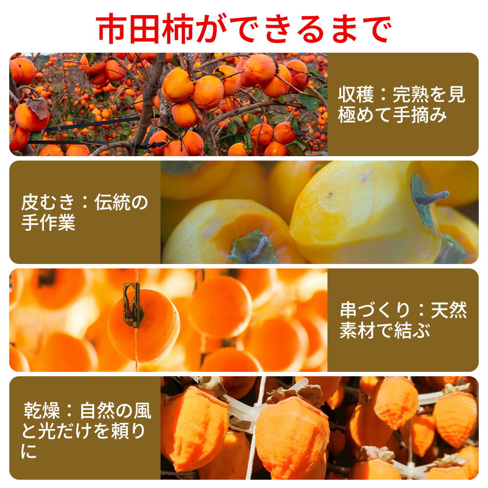 ���ĳ� ������ Ĺ��� ���� ��6γ��/�� ��170g/�� �ۤ��� �񻺥ɥ饤�ե롼�� ����ե롼�� �Ť��� �Ť� ���餫�� �����ʪ Ĺ�� ������ �ﲹ��¸ ���ڻ� ���ե� ����� GIǧ�� �������� ������ ������ ��¸�� �������� ��ʪ �� 2����/5����