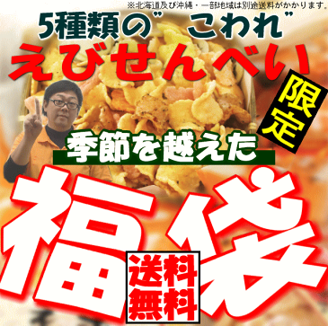 えびせんべい　季節を超えた「福袋」　【送料無料】【名古屋土産】【名古屋名物】【えびせん・えびせんべい】02P26Apr14【沖縄・一部離島で別途配送料がかかります】