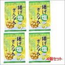 ワンコイン お試し 揚げ塩ぎんなん（銀杏）15g×4袋 【2セットでメール便送料無料】【500円】