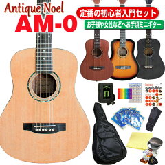 https://thumbnail.image.rakuten.co.jp/@0_mall/ebisound/cabinet/a-guitar/am0set.jpg
