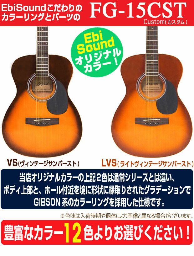 アコースティックギター 初心者 セット 12点 アコギLegend レジェンド FG-15で始めるアコギスタートセット