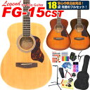 アコースティックギター アコギ 初心者 入門 18点 ハイグレードセット Legend FG-15CST レジェンド 【FG-15 EbiSound…