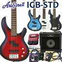 ベース 初心者 入門 Aria Pro II アリア プロ IGB-STD ZOOM B1Four付 16点 セット エレキベース 【ベース初心者】