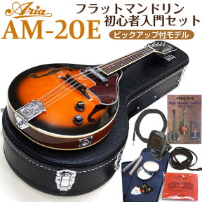 マンドリン ARIA アリア AM-20E 初心者 11点セット ピックアップ搭載 フラットマンドリンで始める初心者セット！【CL】