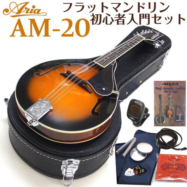 楽天市場】マンドリン ARIA アリア AM-20 初心者 10点セット フラット 