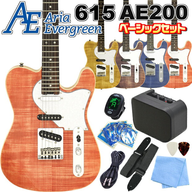 エレキギター 初心者セット 入門セット AriaProII 615 AE200 アリア エヴァーグリーン 9点 ベーシックセット 【テレキャスタータイプ】【エレキ ギター初心者】【エレクトリックギター】