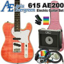 エレキギター 初心者セット AriaProII 615 AE200 MP アリア・エヴァーグリーン 15点入門セット【エレキ ギター初心者】【エレクトリックギタ...