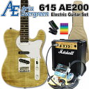 エレキギター 初心者セット AriaProII 615 AE200 YG アリア・エヴァーグリーン 15点入門セット Marshallアンプ付き【エレキ ギター初心者】【エレクトリックギター】