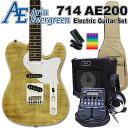 AriaProII 615 AE200 YG アリア・エヴァーグリーン エレキギター初心者 18点セット ZOOM G1Four付属【エレキ ギター初心者】【エ...
