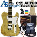 AriaProII 615 AE200 YG アリア・エヴァーグリーン エレキギター初心者 18点セット VOXアンプとZOOM G1Four付属【エレキ ギタ...