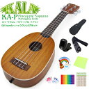 KALA カラ ウクレレ KA-P パイナップルソプラノ 初心者 9点セット マホガニー Ukulele(米国ブランド)(甘い音色)(u)