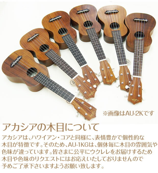 ������� ���ꥢ AU-1KG ���ץ�� ������� �򴹸��� ���ڥ����10�����å� ������������ Aria ����Ĵ����(�ڤ䤫�ʲ���)(����ɥԥ���)(u)