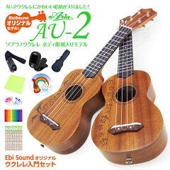 https://thumbnail.image.rakuten.co.jp/@0_mall/ebisound/cabinet/uke/au2dlhnsj.jpg