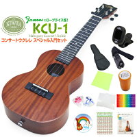 キワヤ ウクレレ KCU-1 コンサート スペシャル12点セット マホガニーKiwaya (上質...