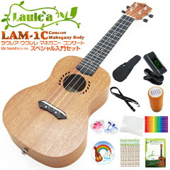 https://thumbnail.image.rakuten.co.jp/@0_mall/ebisound/cabinet/uke/lam1csps.jpg