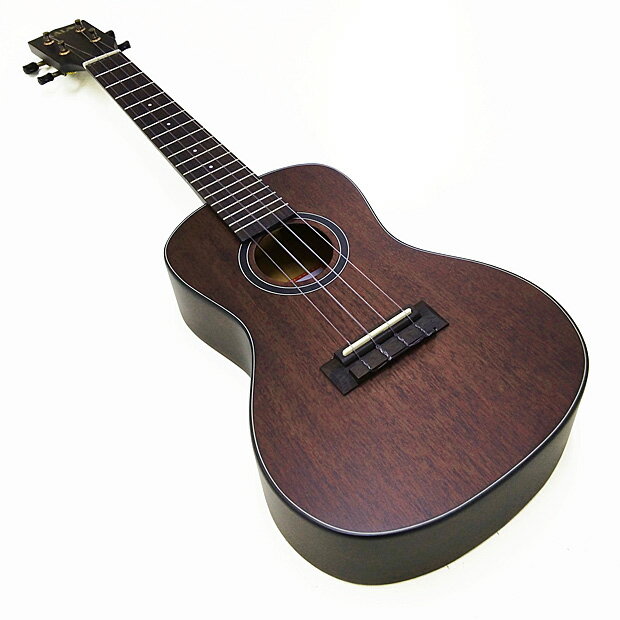 KALA カラ ウクレレ KA-SMH-C コンサート マホガニー単板 チューナー付 サテン仕上げ(米国ブランド)(u) 3