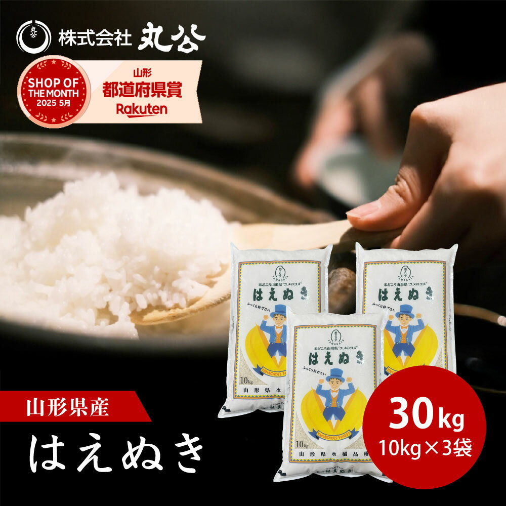 新米 令和7年産 はえぬき 30kg 10kg×3袋 お米 白米 山形県産 精米