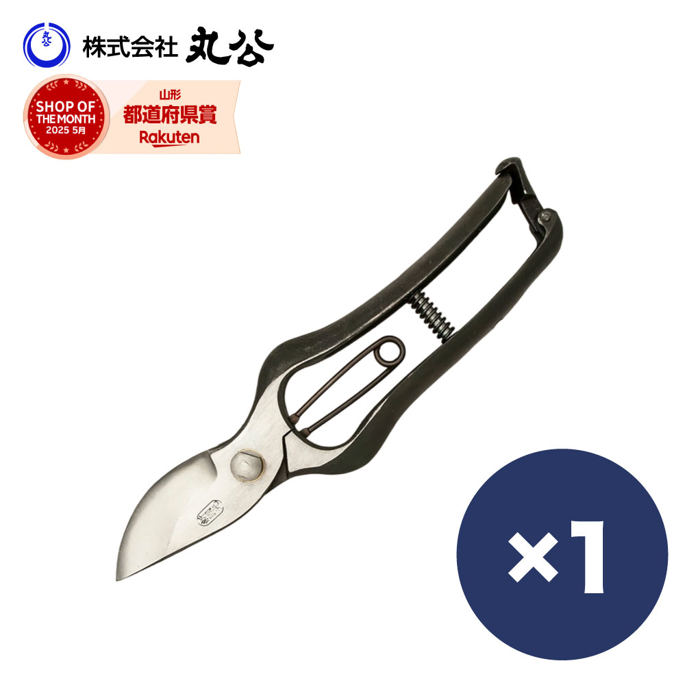 Rakuten - 剪定鋏 F型 9インチ 新国光 メール便 鍛造 剪定 おすすめ ケース 無し はさみ 剪定ハサミ 剪定バサミ 道具 園芸