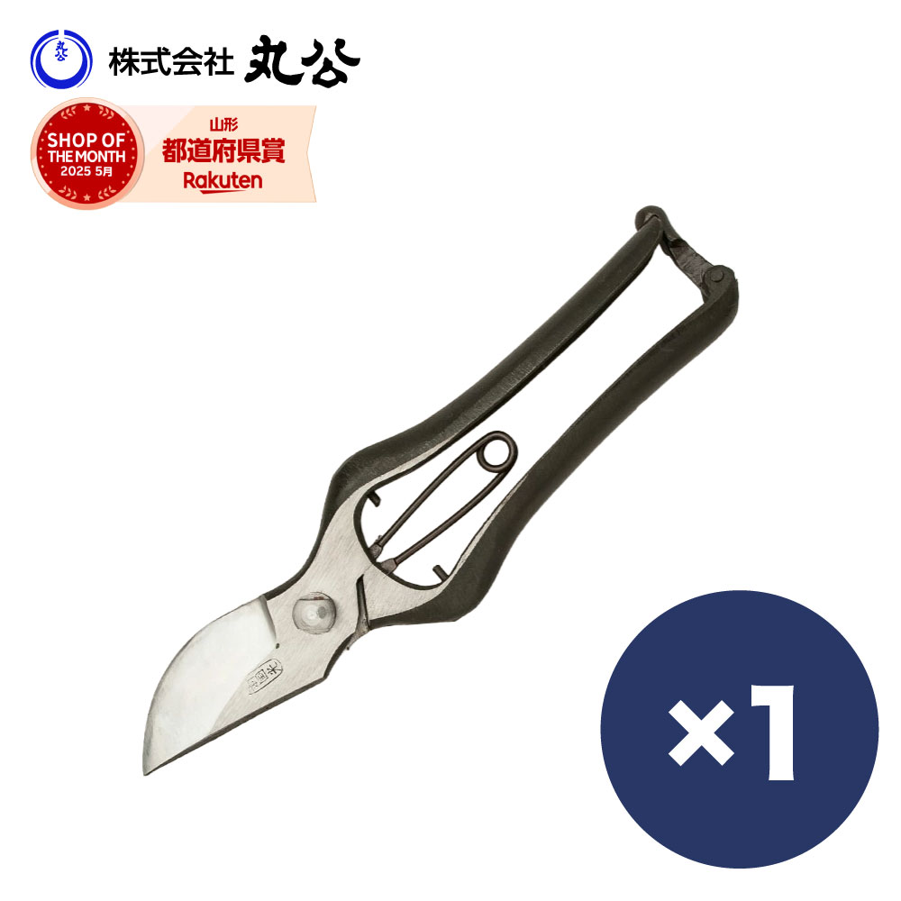 剪定鋏 9インチ B型 新国光 メール便 鍛造 剪定 おすすめ ケース 無し はさみ 剪定ハサミ 剪定バサミ ..