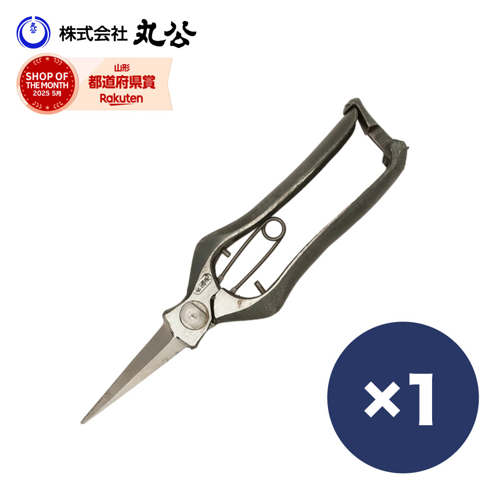 楽天市場】草月 鋏の通販