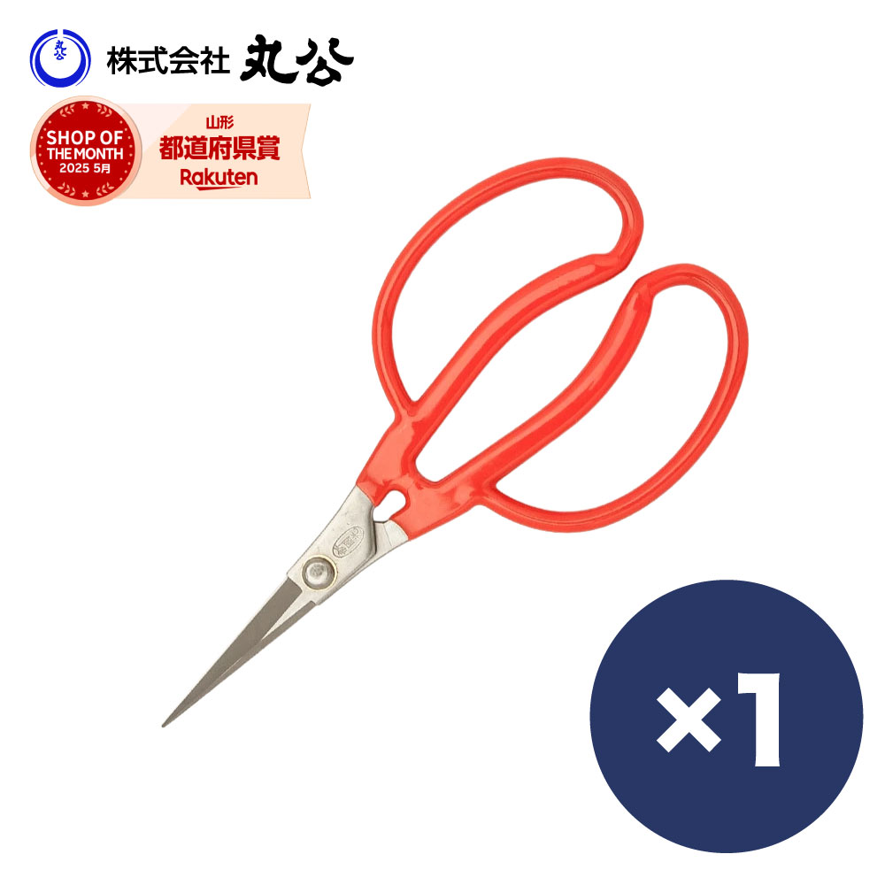 一般に出まわっている他社のブドウ鋏より大柄、特に握りの環が大きく使い易い。刃は先端まで細く鋭い。山形特産品ではありません。 全長：175mm 重量：60g ※こちらの商品は【メール便】での発送となりますので、ポストへ投函されます。 ※日時指...