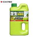 除草剤 シバニードシャワー 2L