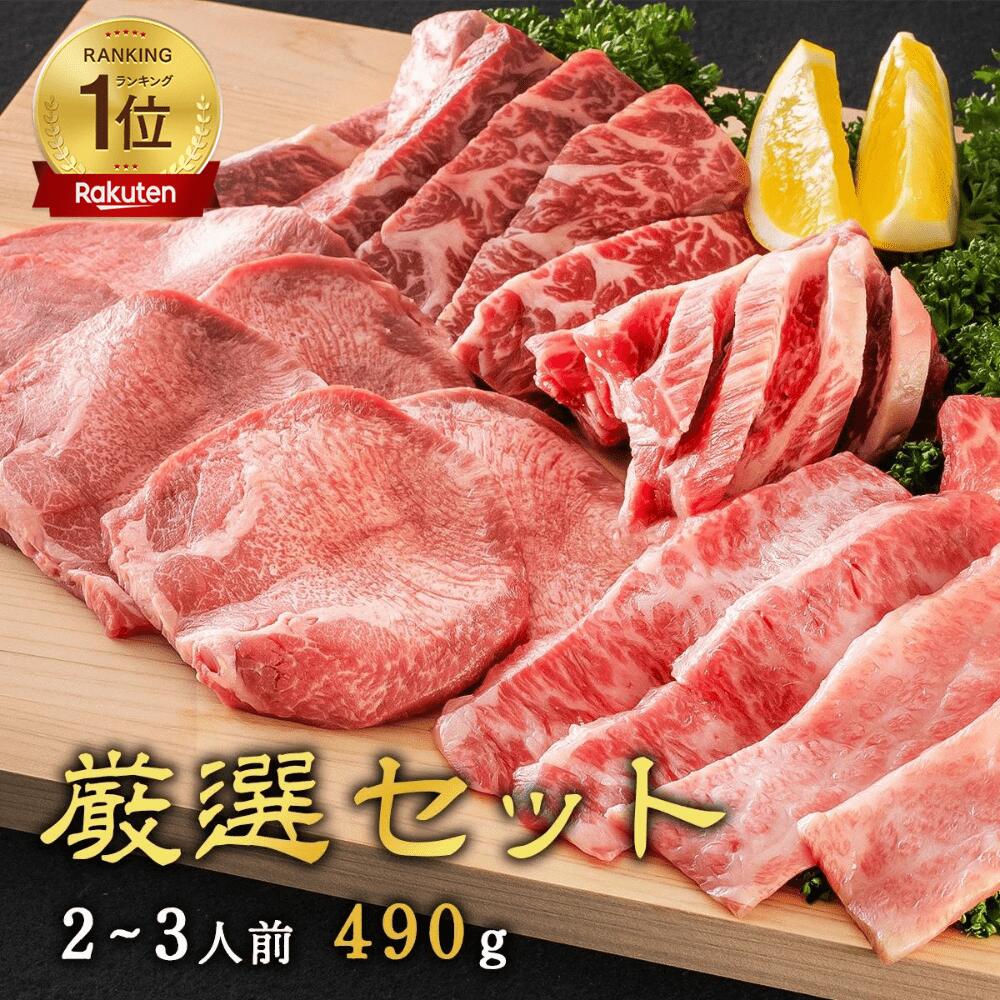 【 焼肉トラジ 】 厳選セット(2~3人前) 490g 高級