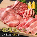 【焼肉トラジ】 厳選セット(2~3人前) 490g 焼肉 焼肉セット カルビ ハラミ 牛タン 和牛 牛肉 肉 お肉 BBQ バーベキュー 食べ比べ 盛り合わせ お取り寄せ お取り寄せグルメ ギフト 肉セット グルメ 焼肉トラジ トラジ 送料無料