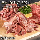 【 焼肉トラジ 】 黒毛和牛 切り落とし メガ盛り パック(合計2.5kg) 肉 ギフト トラジ プレゼント 焼肉セット 和牛 高級 大容量 焼肉用 肉セット 牛肉 リブロース カルビ 牛肉カルビ 大量 食べ比べ セット 焼肉 焼き肉 焼肉盛り合わせ 高級肉