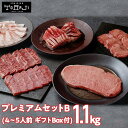 【焼肉トラジ】プレミアムセットB 1,100g 4～5人前 和牛 サーロイン 牛タン 和牛カルビ ハラミ ダイヤモンドCutカルビ＆ハラミ 豚トロ トラジ toraji プレゼント ギフト 食べ比べ 焼肉 焼肉セット 焼き肉 焼き肉セット 赤身 送料無料 1