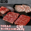 肉セット ★マラソン限定10%OFF★ 【 焼肉トラジ 】TORAJIセットB 520g 2~3人前 和牛カルビ ハラミ ダイヤモンドcutカルビ 豚トロ トラジ toraji プレゼント BBQ 冷凍焼肉 焼き肉用セット お取り寄せ バーベキューセット トントロ お肉セット 高級肉 ギフト 焼肉用牛肉 赤身肉 母の日