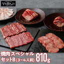 スペシャルセットB 810g 3～4人前 焼き肉 食べ比べ 高級 焼肉セット 4人前 肉ギフト 焼き肉ギフト お取り寄せ 焼肉用 焼肉 盛り合わせ 牛カルビ タン塩 和牛 牛タン バーベキュー 肉セット 和牛カルビ カルビ ハラミ