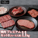 \10%クーポン配布中/【焼肉トラジ】プレミアムセットB 1,100g 4~5人前 黒毛和牛 サーロイン 焼肉 食べ比べ 高級 焼肉セット 4人前 高級焼き肉 ...